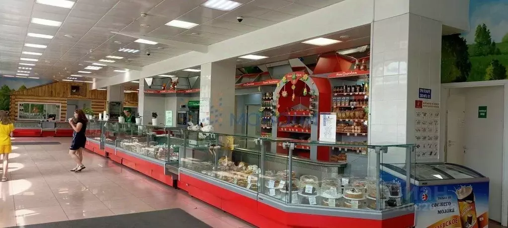 Помещение свободного назначения в Нижегородская область, Балахна ул. ... - Фото 1