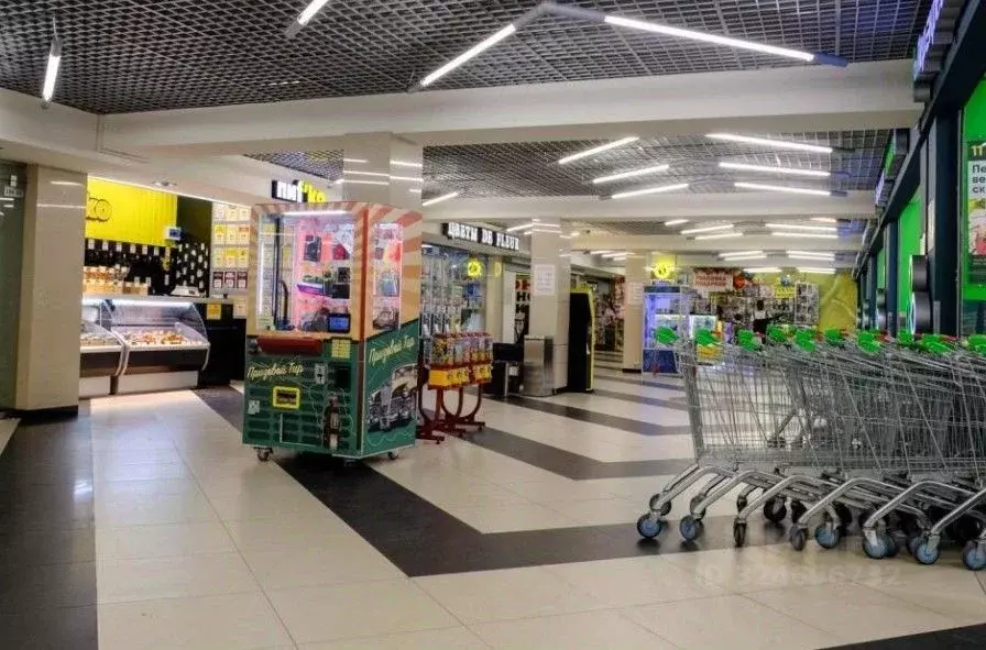 Помещение свободного назначения в Санкт-Петербург просп. Косыгина, ... - Фото 1