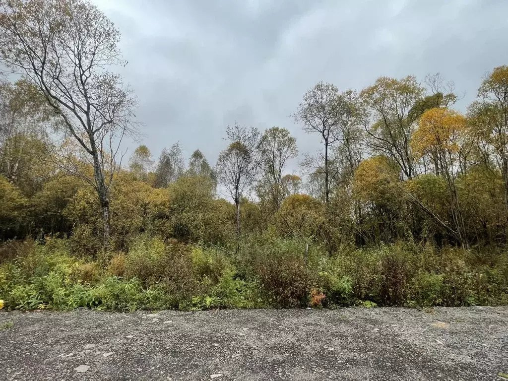 Участок в Московская область, Истра муниципальный округ, д. Карасино  ... - Фото 1