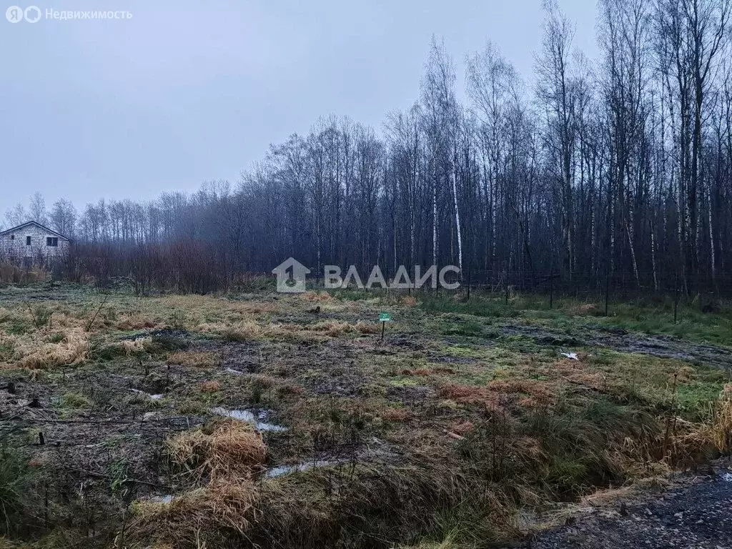 Участок в деревня Новосергиевка, КП ОккерВилла, Братская улица, 27 ... - Фото 2