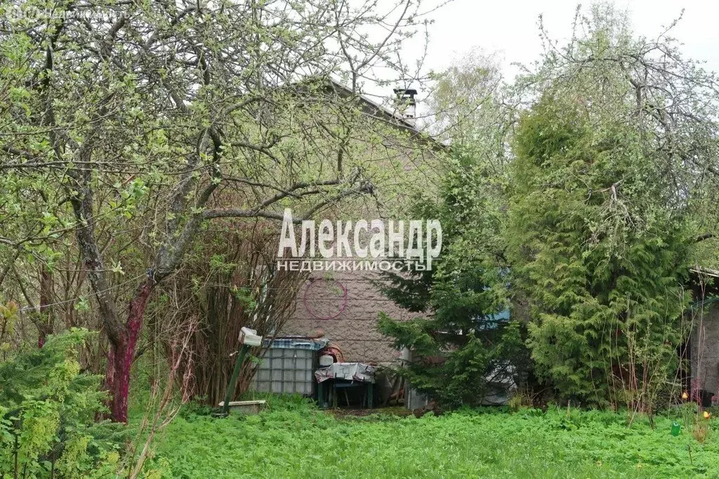 Дом в Выборг, СТ Берёзовая Аллея (70 м) - Фото 1