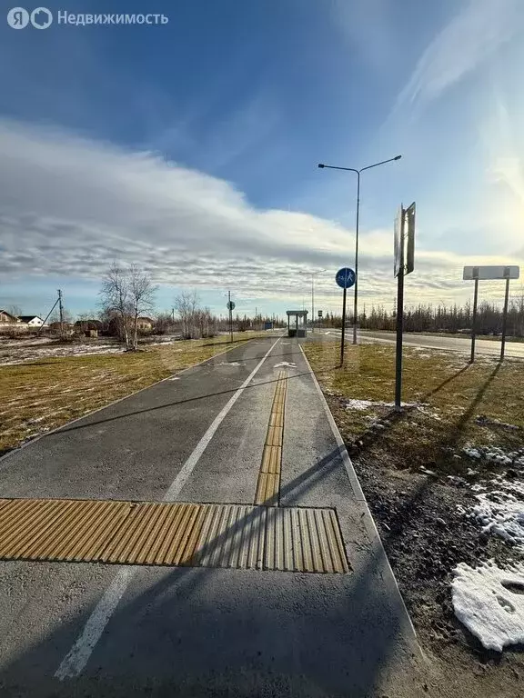 Участок в Новый Уренгой, СНТ Фемида, 2-я Берёзовая улица (5 м) - Фото 2