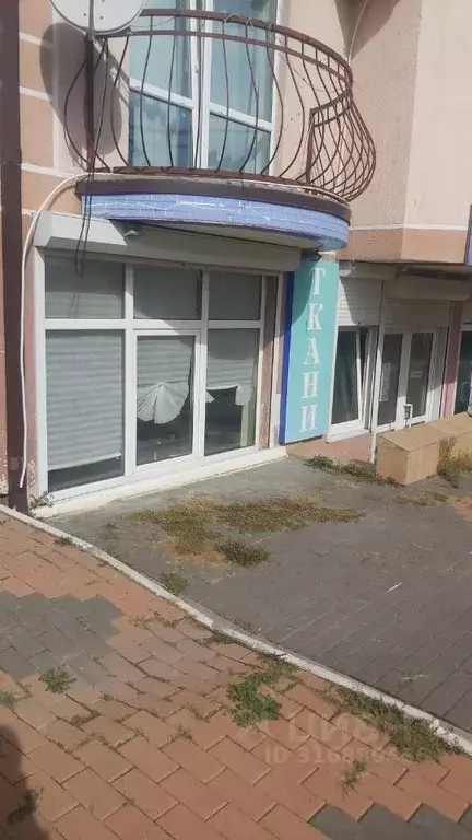 Помещение свободного назначения в Краснодарский край, Геленджик ул. ... - Фото 0