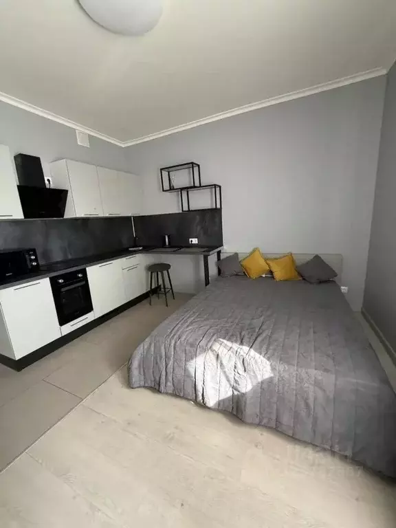 Студия Московская область, Красногорск ул. Липовой Рощи, 4к3 (26.9 м) - Фото 2