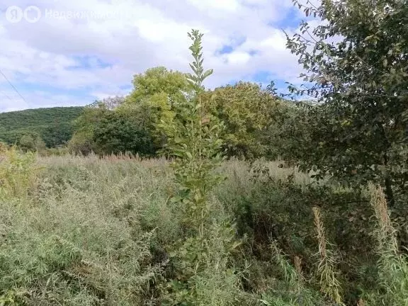 Участок в село Владимиро-Александровское, Юбилейная улица (10000 м) - Фото 0