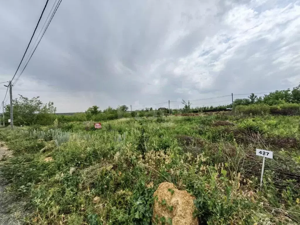 Участок в Ростовская область, Родионово-Несветайский район, ... - Фото 1