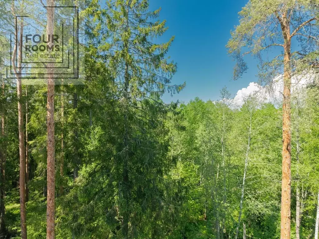 1-к кв. Санкт-Петербург, Санкт-Петербург, Зеленогорск ул. Строителей, ... - Фото 1