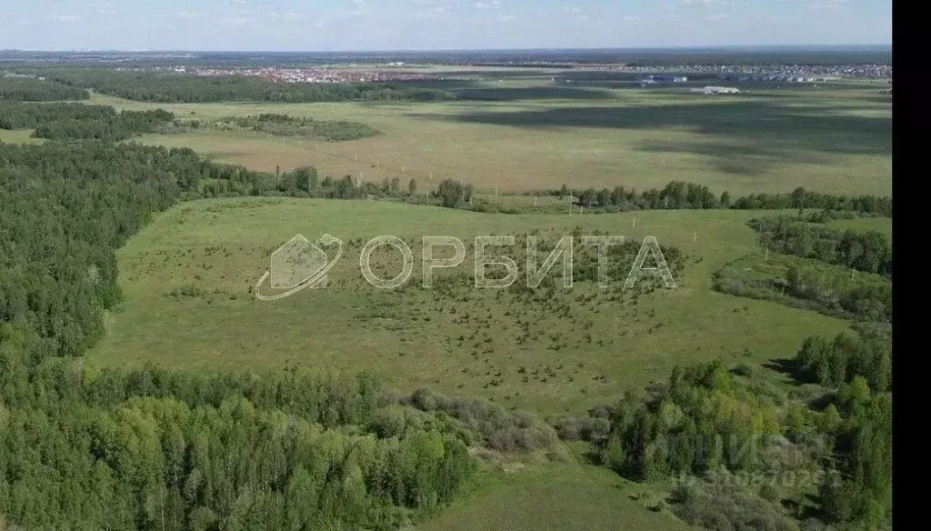 Участок в Тюменская область, Тюменский район, д. Елань, Австралия кп  ... - Фото 1