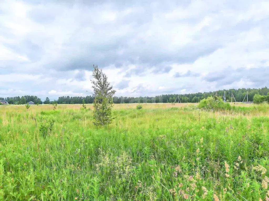 Участок в Ярославская область, Ярославский муниципальный округ, ... - Фото 1