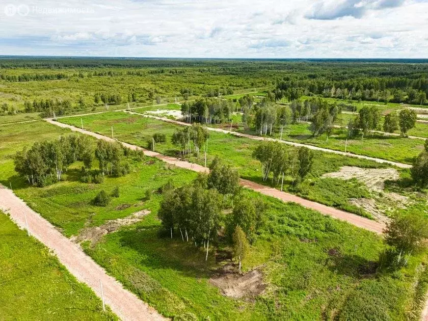 Участок в Тюменская область, Нижнетавдинский муниципальный округ, ... - Фото 1
