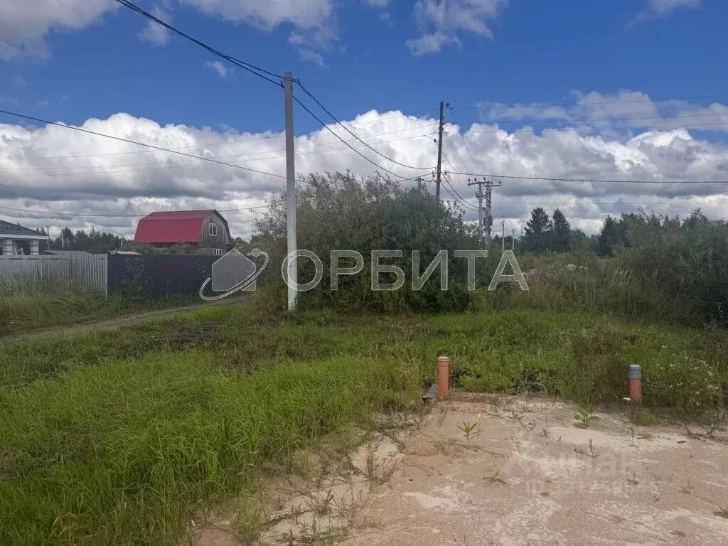 Участок в Тюменская область, Тюмень Садовое товарищество Липовый ... - Фото 1