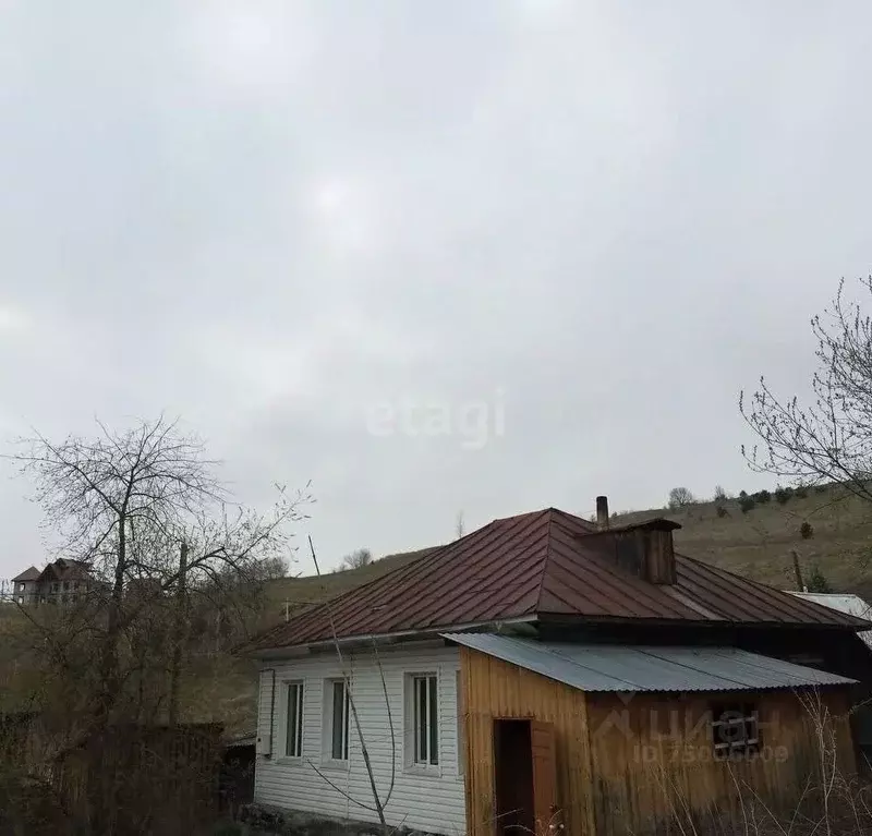 Дом в Алтай, Горно-Алтайск Излучный пер. (39 м) - Фото 0