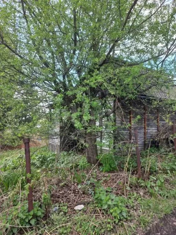 Участок в Томская область, Томский район, Богашевское с/пос, Лесник-2 ... - Фото 1