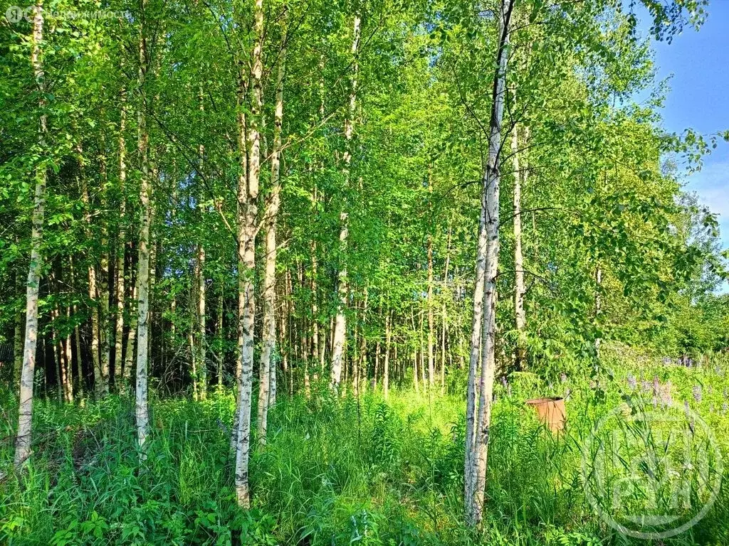 Участок в Выборгский район, Советское городское поселение, СНТ ... - Фото 1