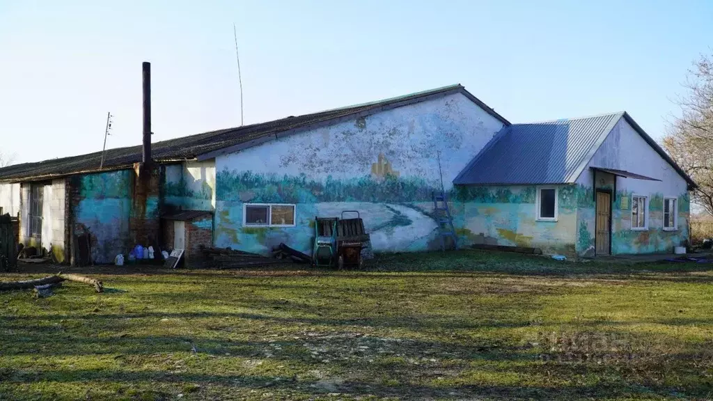 Помещение свободного назначения в Краснодарский край, Красноармейский ... - Фото 0