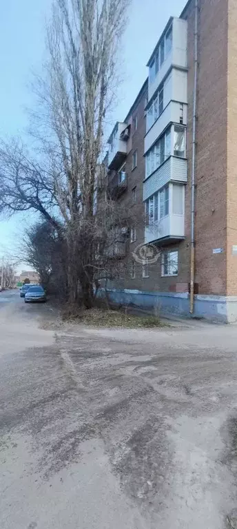 3-к кв. Ростовская область, Таганрог 27-й пер., 27 (56.9 м) - Фото 2