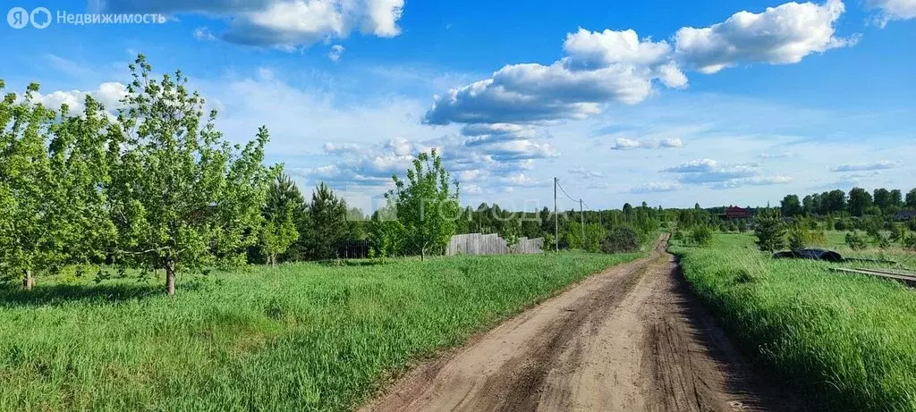 Участок в Первомайский район, посёлок Новый, Берёзовская улица, 26 (12 ... - Фото 0