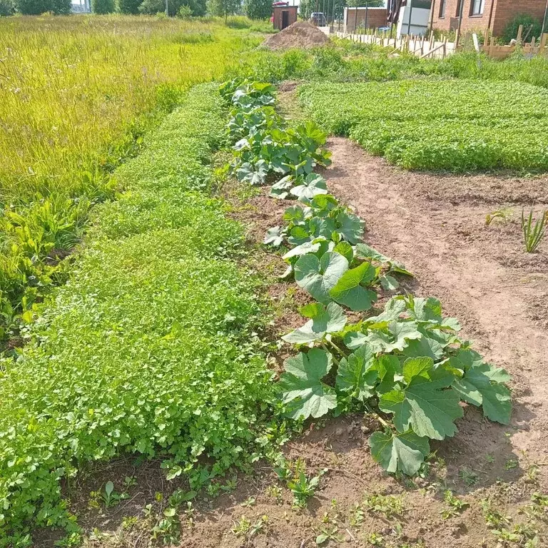 Участок в Калужская область, Калуга городской округ, д. Пучково ул. ... - Фото 2