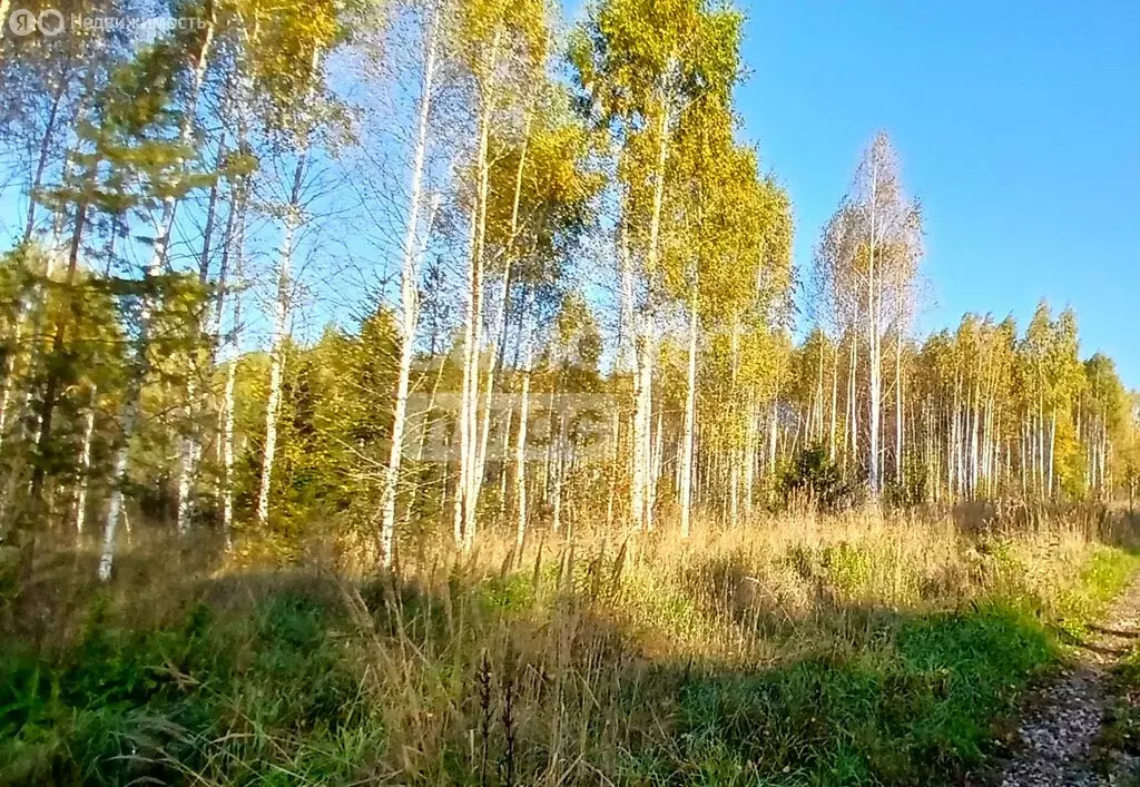 Дом в Ижевск, Персиковая улица, 8 (100 м) - Фото 2