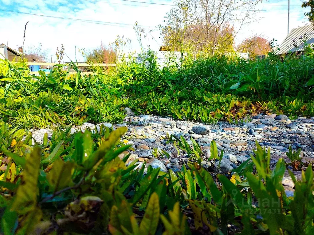 Участок в Иркутская область, Шелеховский район, Олхинское ... - Фото 2