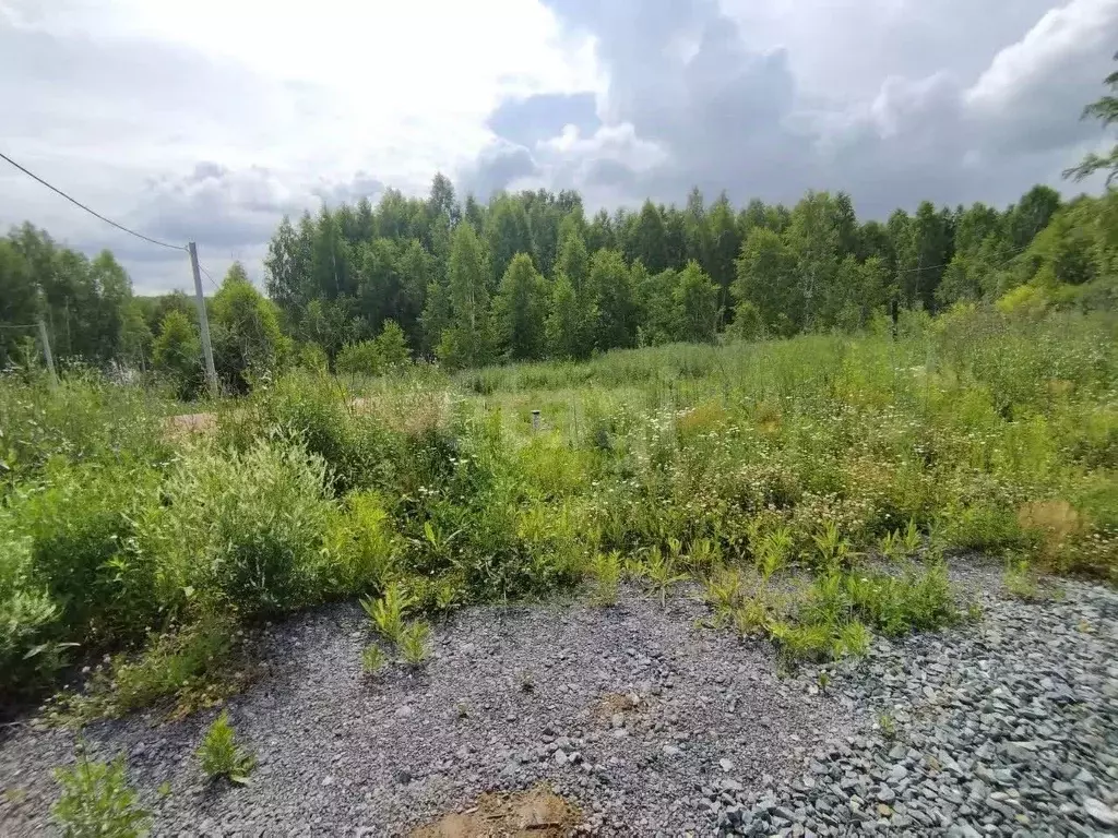 Участок в Новосибирская область, Новосибирск Зеленодолинская ул., ... - Фото 1
