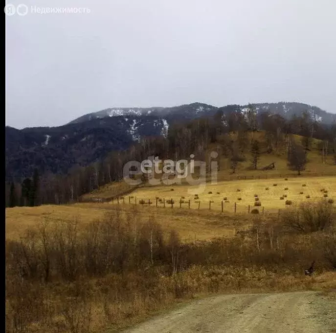 Участок в Чемальский район, поселок Верх-Анос (61.9 м) - Фото 0