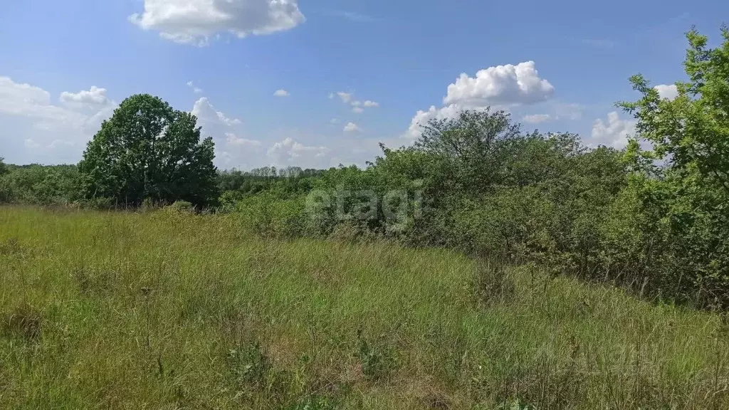 Участок в Белгородская область, Белгородский район, Беломестненское ... - Фото 1