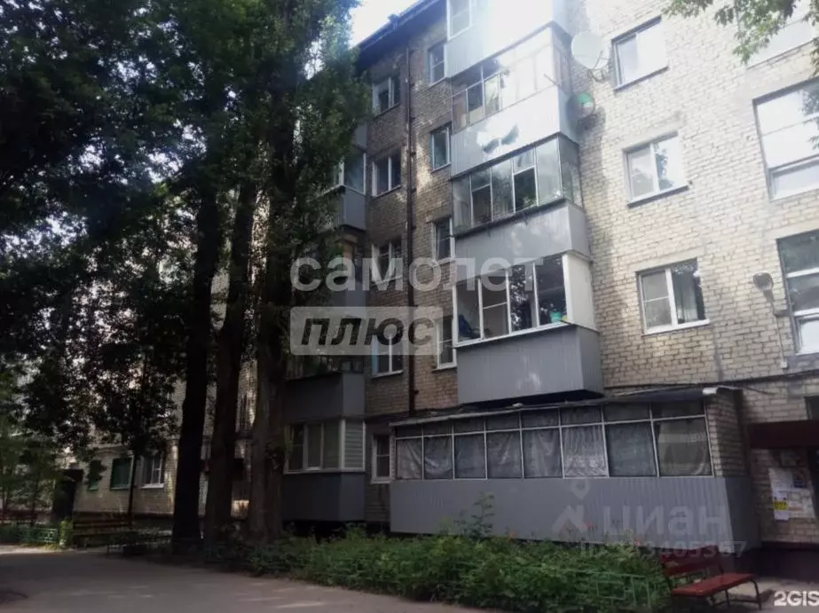 1-к кв. Липецкая область, Липецк ул. П.А. Папина, 21/2 (30.0 м) - Фото 1