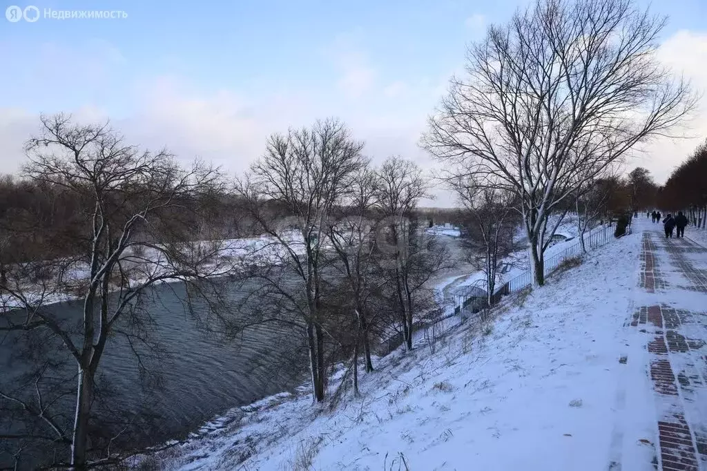 3-комнатная квартира: Тамбов, Набережная улица, 24/2 (64.2 м) - Фото 1