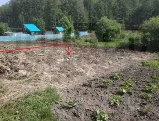 Участок в Свердловская область, Сысертский муниципальный округ, Геолог ... - Фото 1