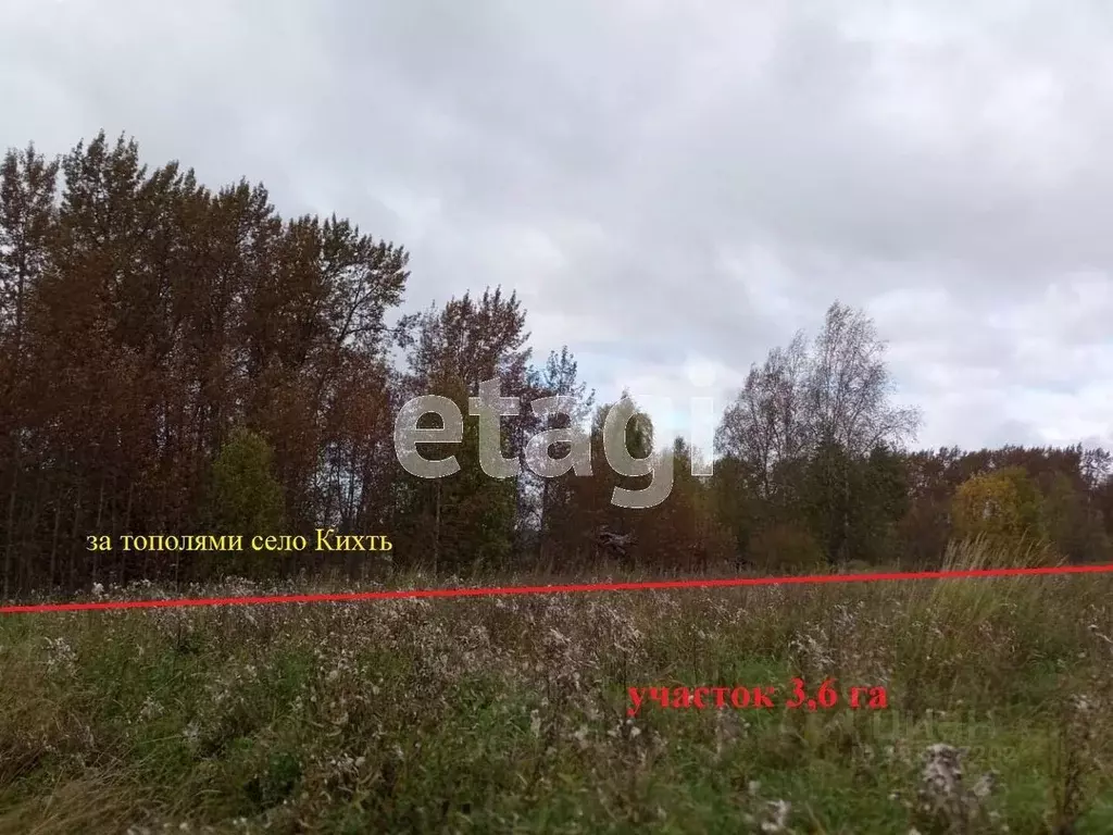 Участок в Вологодская область, Усть-Кубинский муниципальный округ, с. ... - Фото 1