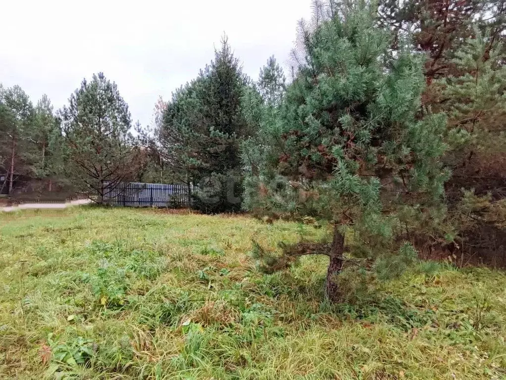 Участок в Калужская область, Боровский муниципальный округ, Совьяки ... - Фото 2