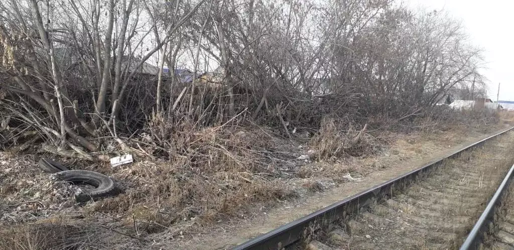 Участок в Курганская область, Курган Кольцевая ул., 1/91А (36.04 сот.) - Фото 1