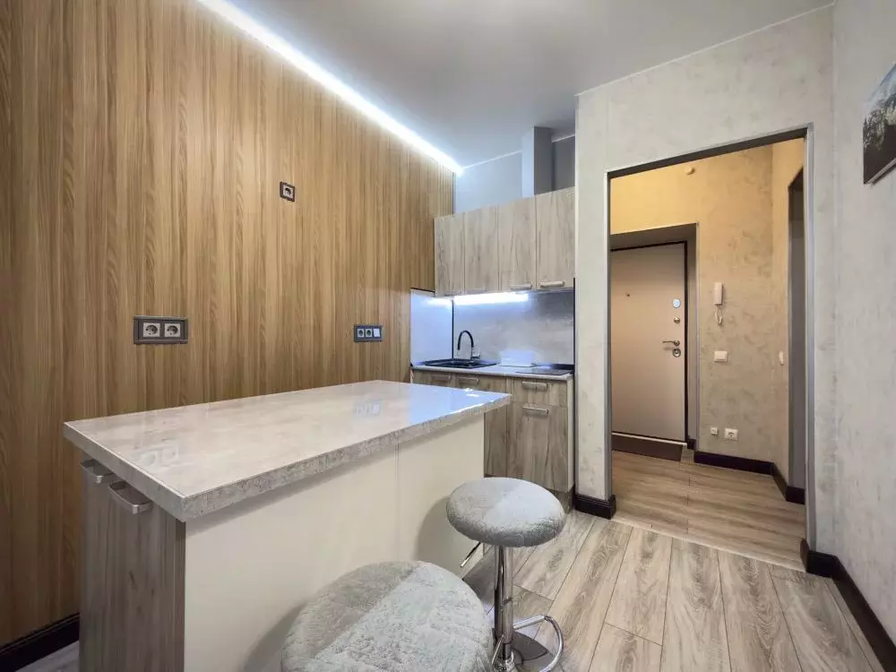 1-к кв. Московская область, Люберцы ул. Рождественская, 12 (23.6 м) - Фото 1