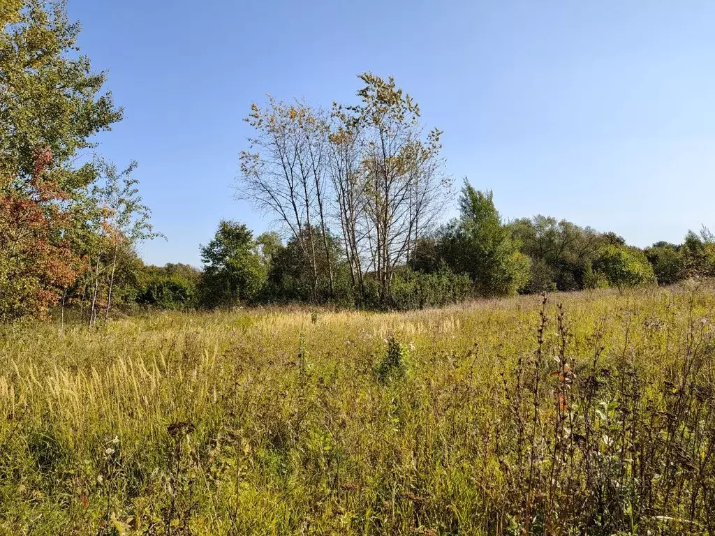 Участок в Московская область, Зарайск муниципальный округ, д. Авдеево  ... - Фото 1