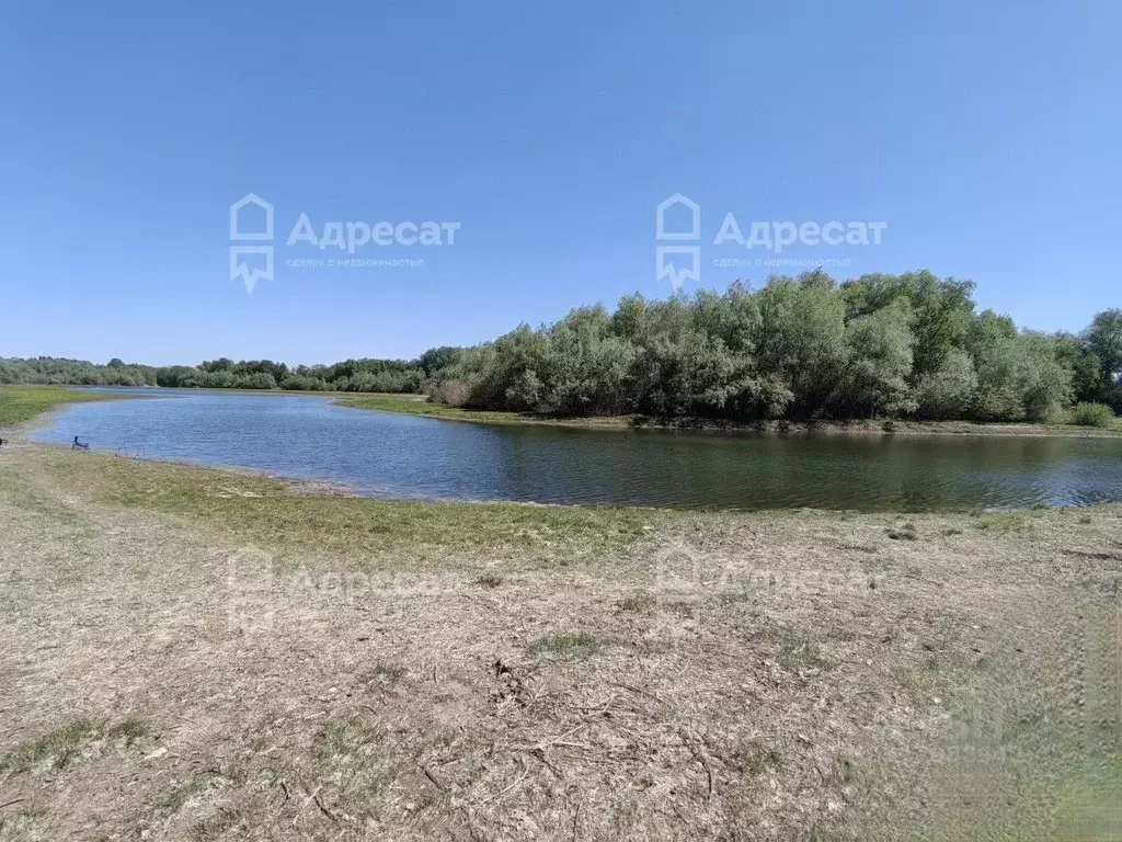 Участок в Волгоградская область, Среднеахтубинский район, Фрунзенское ... - Фото 1