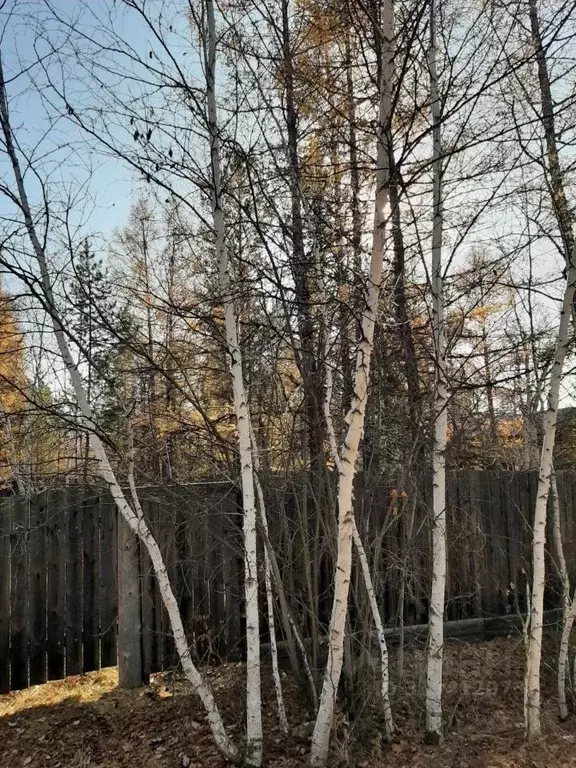 Участок в Саха (Якутия), Якутск городской округ, с. Маган  (8.27 сот.) - Фото 1