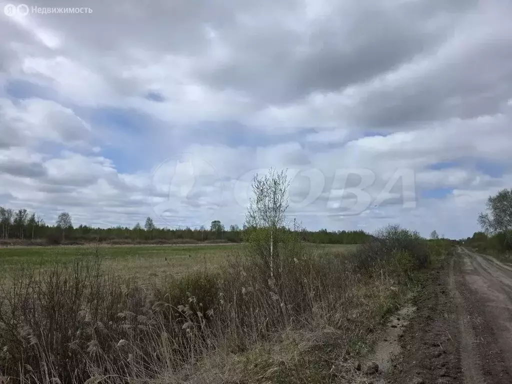 Участок в Тюмень, Центральный округ (7.9 м) - Фото 2