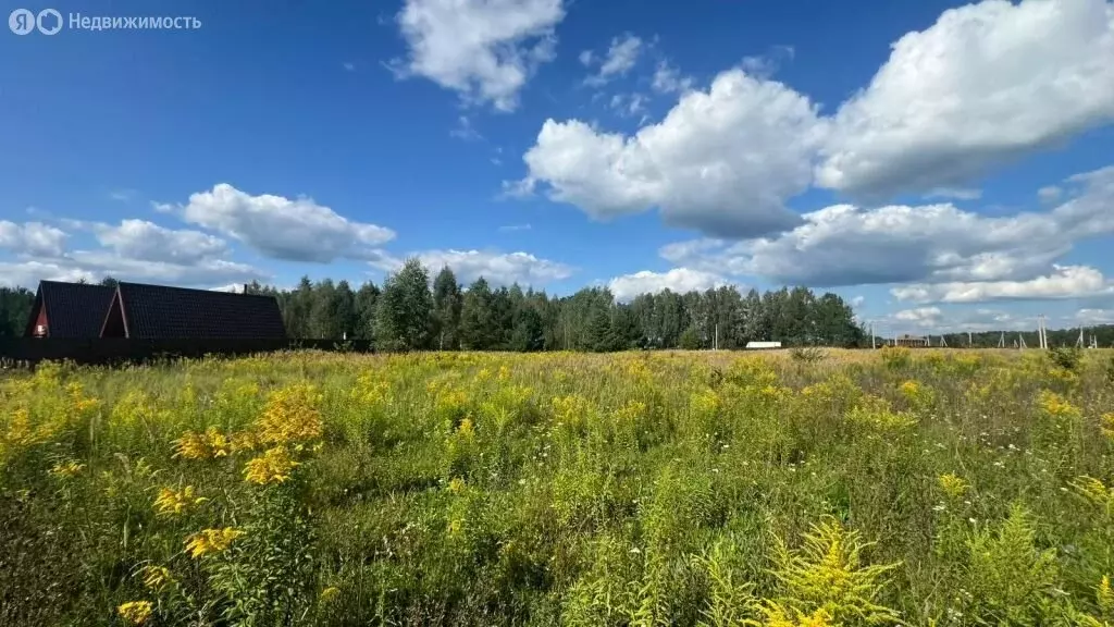 Участок в Тульская область, городской округ Алексин, село Бунырево (20 ... - Фото 2