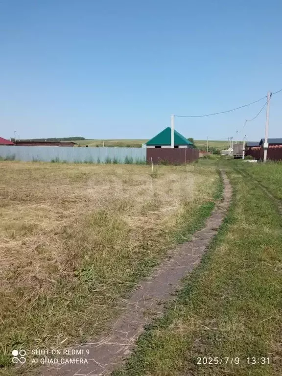 Участок в Мордовия, Лямбирский район, Берсеневское с/пос, СНТ Ясное ... - Фото 2