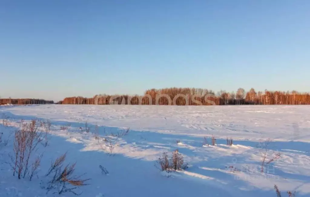 Участок в Тюменская область, Тюменский район, с. Горьковка  (7.5 сот.) - Фото 0