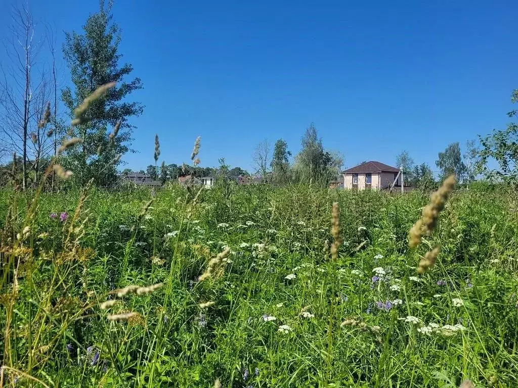 Участок в Ленинградская область, Ломоносовский район, Горбунковское ... - Фото 0