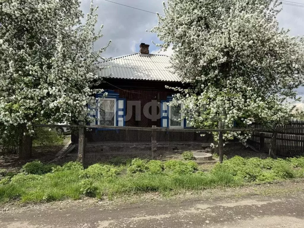 Дом в Абакан, улица Чайковского (41.3 м) - Фото 2