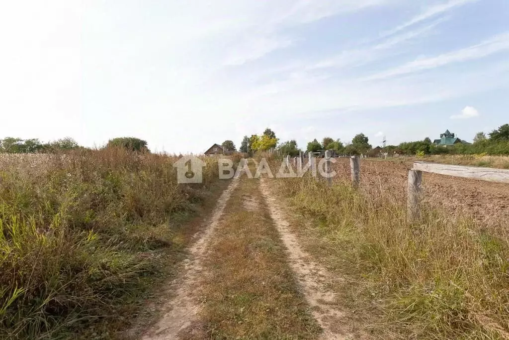 Участок в Владимирская область, Суздальский район, Новоалександровское ... - Фото 0