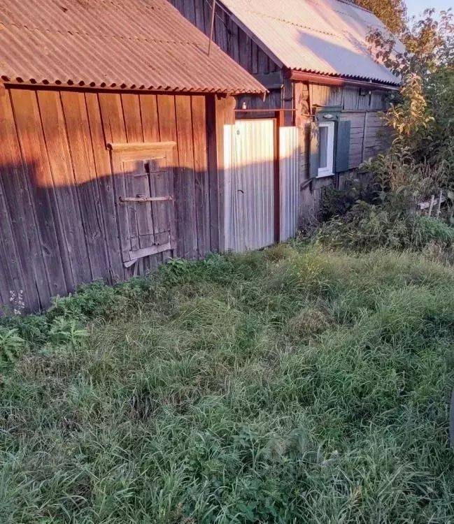 Дом в Иркутская область, Залари рп ул. Калинина, 8 (34 м) - Фото 0