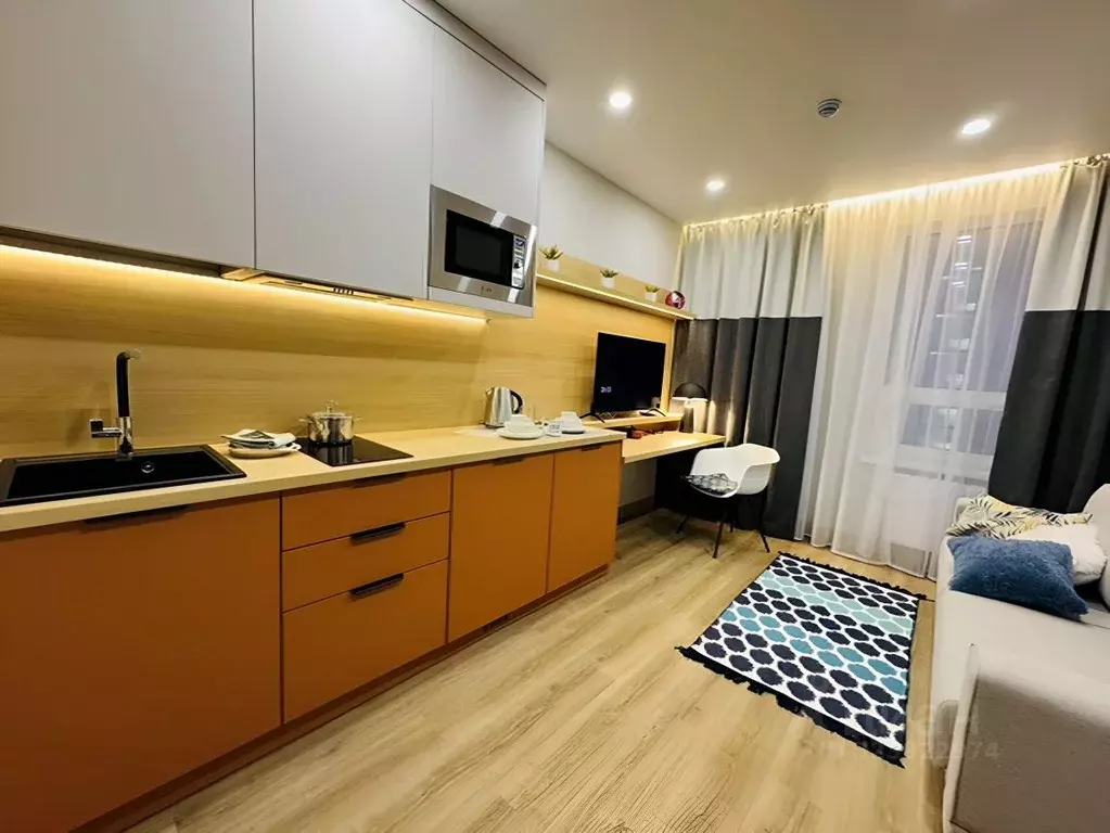 Студия Санкт-Петербург бул. Измайловский, 1к2 (20.0 м) - Фото 2