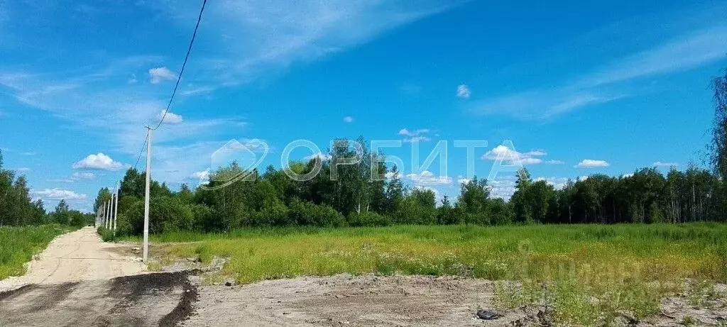 Участок в Тюменская область, Тюмень Малинка садовое товарищество, ул. ... - Фото 2