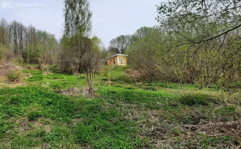 Участок в Владимир, сад Родники (4 м) - Фото 1