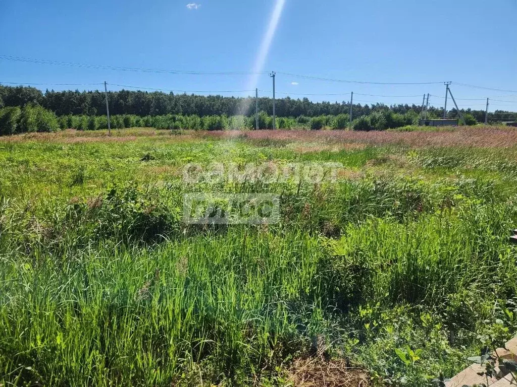 Участок в Московская область, Пушкинский городской округ, д. ... - Фото 2