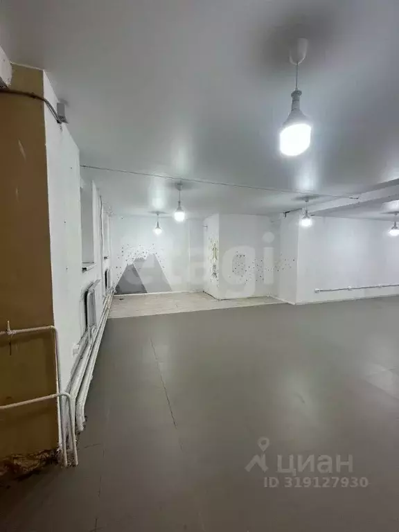 Помещение свободного назначения в Владимирская область, Петушки ... - Фото 1